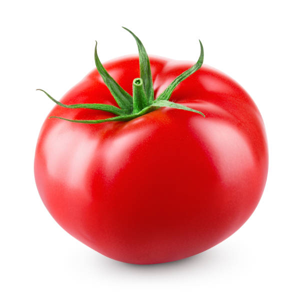Tomato